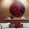 Designart - Red Rose with Raindrops on Black' Disc Flowers Large Metal Circle Wall Artwork